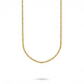 The AEON Rolo Necklace