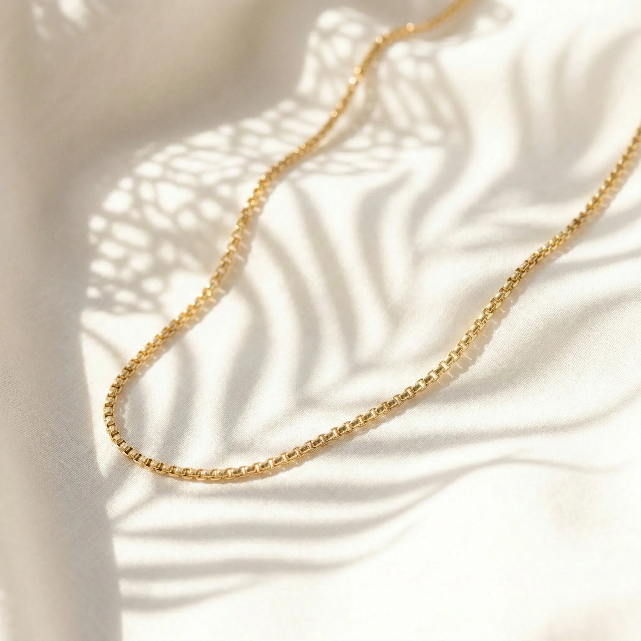 The AEON Rolo Necklace
